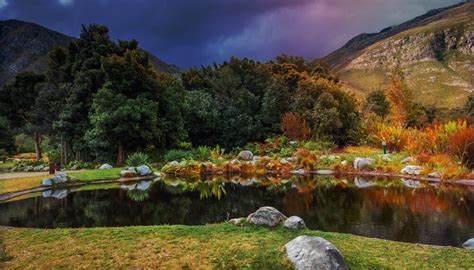 The Harold Porter Botanical Gardens: An Oasis of Biodiversity and Dramatic Landscapes!