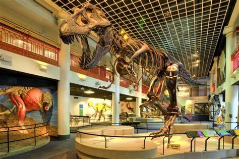 Il Museo di Storia Naturale di Filadelfia: Un Viaggio Tra Dinosauri e Stelle!